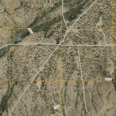 Cave Mesa NE, TX (2010, 24000-Scale) Preview 3