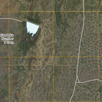 Cayetano Creek, TX (2010, 24000-Scale) Preview 2