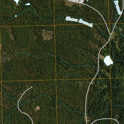 Cayuga, TX (2010, 24000-Scale) Preview 3