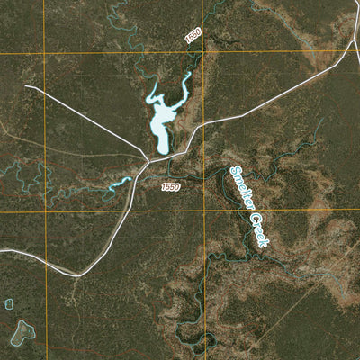 Cedar Mountain, TX (2010, 24000-Scale) Preview 2