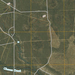 Chacon Creek SE, TX (2010, 24000-Scale) Preview 2