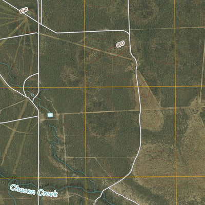 Chacon Creek SE, TX (2010, 24000-Scale) Preview 2