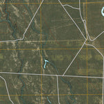 Chacon Creek SE, TX (2010, 24000-Scale) Preview 3