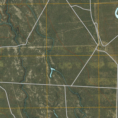 Chacon Creek SE, TX (2010, 24000-Scale) Preview 3