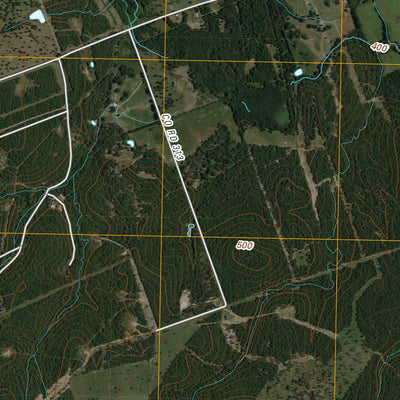 Chriesman, TX (2010, 24000-Scale) Preview 3