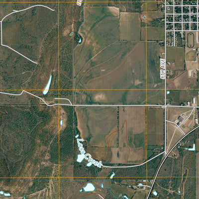 Coleman, TX (2010, 24000-Scale) Preview 2