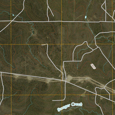 Collins Creek SW, TX (2010, 24000-Scale) Preview 2
