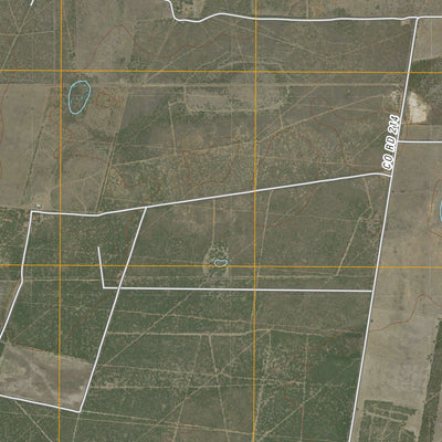 Concepcion, TX (2010, 24000-Scale) Preview 2