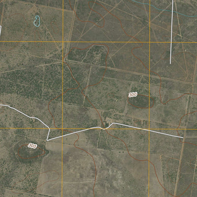 Concepcion, TX (2010, 24000-Scale) Preview 3