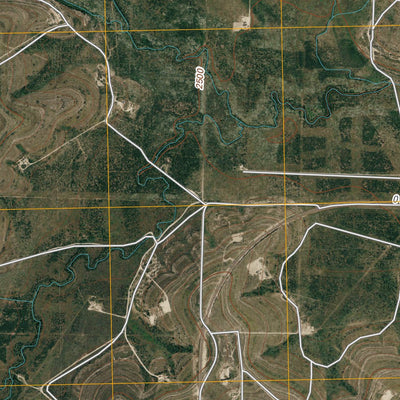 Coon Dive Draw NW, TX (2010, 24000-Scale) Preview 2
