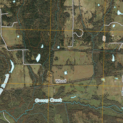 Courtney, TX (2010, 24000-Scale) Preview 3