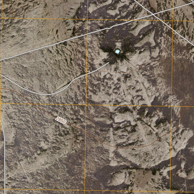 Coyanosa SW, TX (2010, 24000-Scale) Preview 2