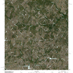 Dale, TX (2010, 24000-Scale) Preview 1