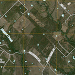 Dale, TX (2010, 24000-Scale) Preview 3