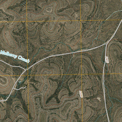 Dog Creek SW, TX (2010, 24000-Scale) Preview 3