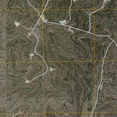 Dunbar Draw NE, TX (2010, 24000-Scale) Preview 3