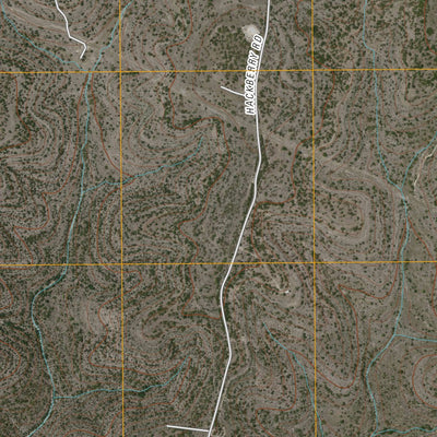 Earwood Creek SW, TX (2010, 24000-Scale) Preview 2