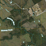 Echols, TX (2010, 24000-Scale) Preview 2