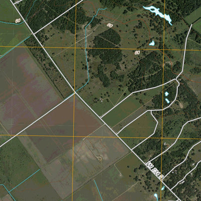 Edna, TX (2010, 24000-Scale) Preview 2