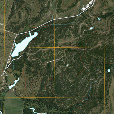 Eidson Lake, TX (2010, 24000-Scale) Preview 3