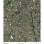 Farmersville, TX (2010, 24000-Scale) Preview 1