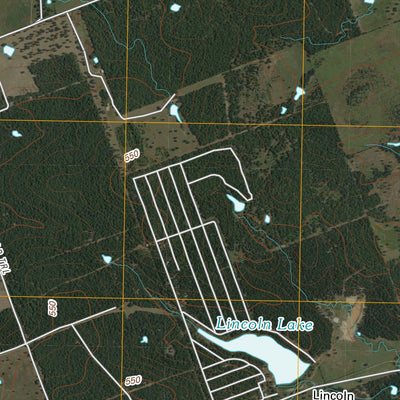 Fedor, TX (2010, 24000-Scale) Preview 3