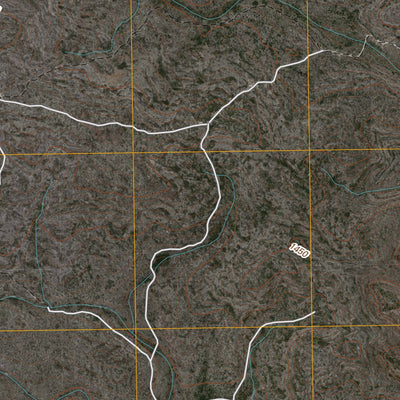 Flat Rock Creek SW, TX (2010, 24000-Scale) Preview 3