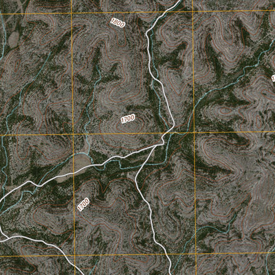 Flat Rock Creek South, TX (2010, 24000-Scale) Preview 3