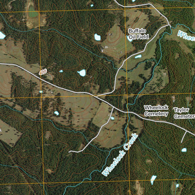 Flo, TX (2010, 24000-Scale) Preview 2