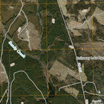 Forest, TX (2010, 24000-Scale) Preview 2