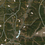 Forest, TX (2010, 24000-Scale) Preview 3