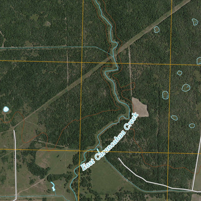 Francitas NE, TX (2010, 24000-Scale) Preview 3
