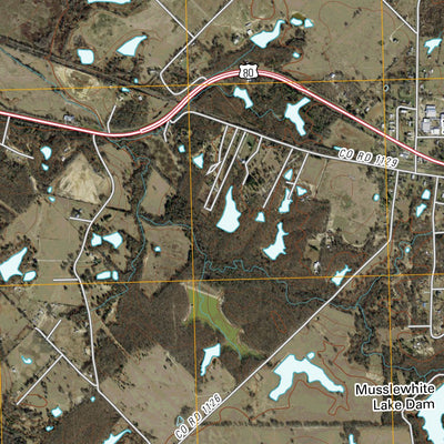 Fruitvale, TX (2010, 24000-Scale) Preview 2