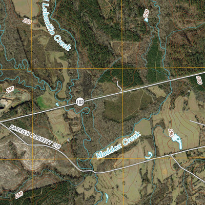 Geneva, TX (2010, 24000-Scale) Preview 2