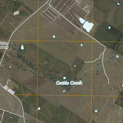 Gonzales South, TX (2010, 24000-Scale) Preview 2