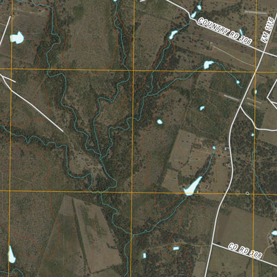 Gonzales South, TX (2010, 24000-Scale) Preview 3