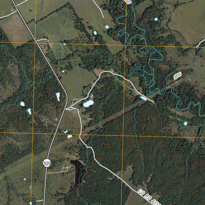 Goodlow Park, TX (2010, 24000-Scale) Preview 3