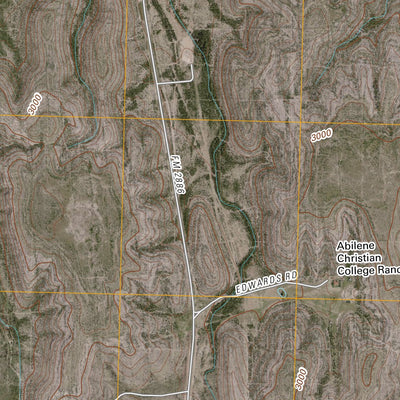 Hackberry Draw SE, TX (2010, 24000-Scale) Preview 3