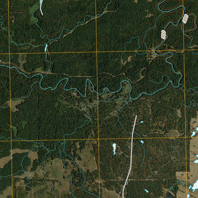 Hagansport, TX (2010, 24000-Scale) Preview 3