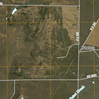 Hamlin NE, TX (2010, 24000-Scale) Preview 3