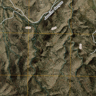 Hess Canyon, TX (2010, 24000-Scale) Preview 3