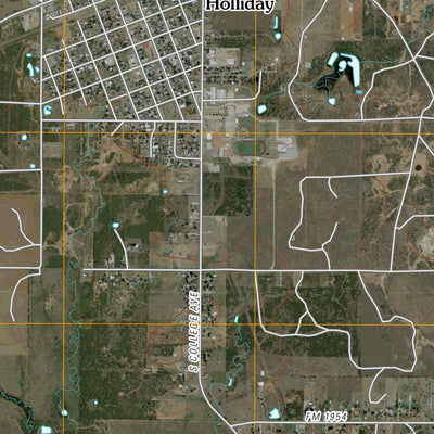 Holliday, TX (2010, 24000-Scale) Preview 2