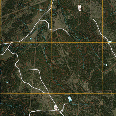 Ivan South, TX (2010, 24000-Scale) Preview 2