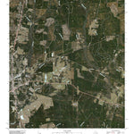 Jasper East, TX (2010, 24000-Scale) Preview 1