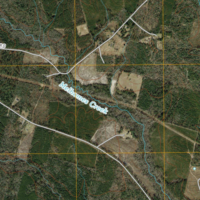 Jasper East, TX (2010, 24000-Scale) Preview 3