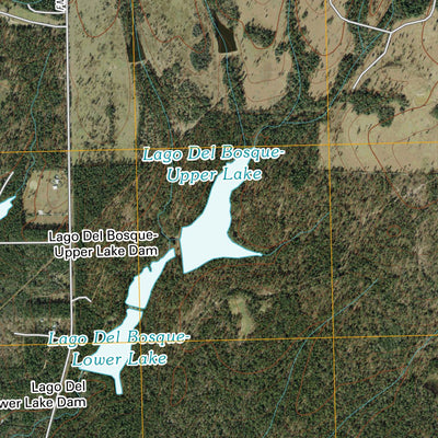 Keenan, TX (2010, 24000-Scale) Preview 2