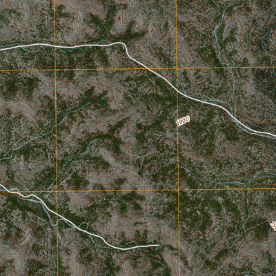 Kickapoo Caverns, TX (2010, 24000-Scale) Preview 3