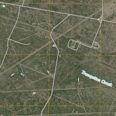 Kingsville West, TX (2010, 24000-Scale) Preview 3