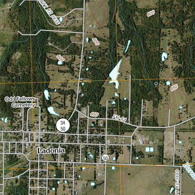 Ladonia, TX (2010, 24000-Scale) Preview 2