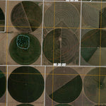 Lazbuddie SE, TX (2010, 24000-Scale) Preview 3